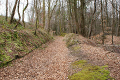 
Lasgarn Railroad trackbed, March 2009